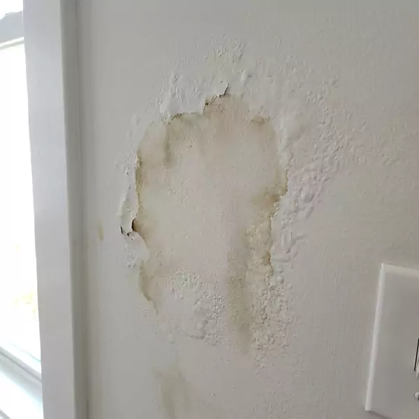 Expert Drywall Water Damage Repair in Jupiter, FL