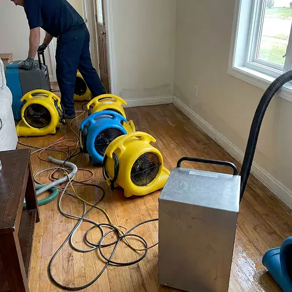 Water Mitigation Services in Jupiter, FL