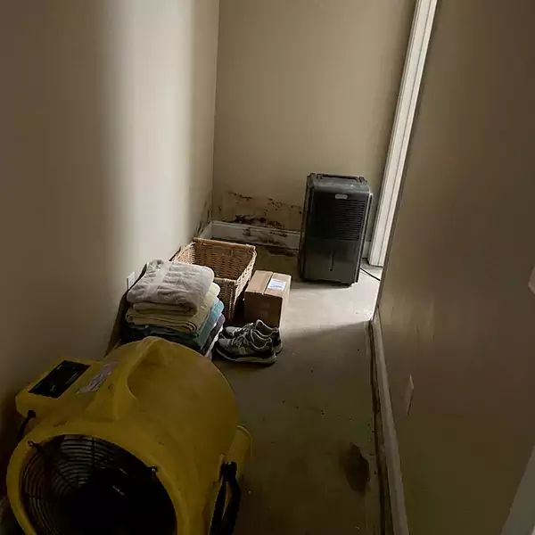 Expert Water Remediation in Jupiter, FL 