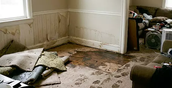 Why Choose Jupiter Water Restoration For Water Damage Restoration Services in Jupiter, FL?