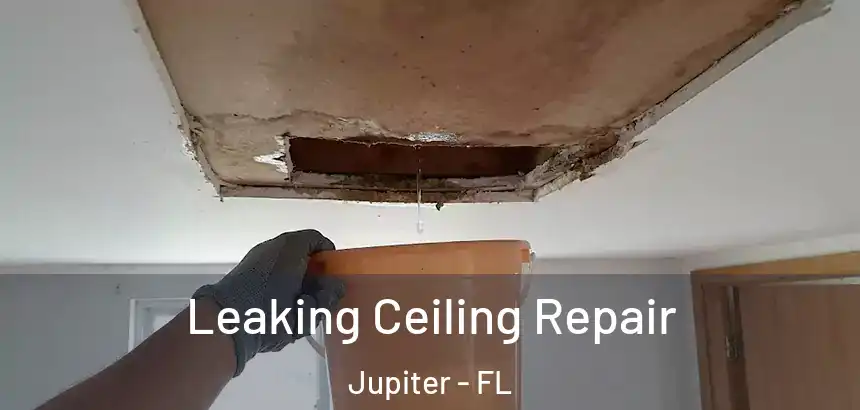  Leaking Ceiling Repair Jupiter - FL
