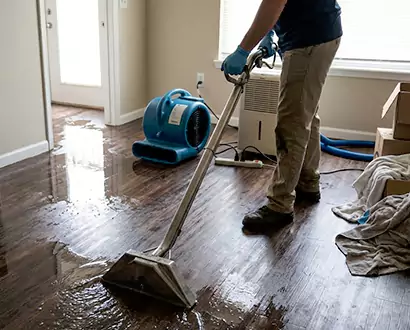 Flood Restoration in Jupiter