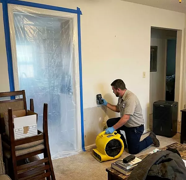 Why Homeowners & Businesses Choose Jupiter Water Restoration for Water Remediation in Jupiter, FL?