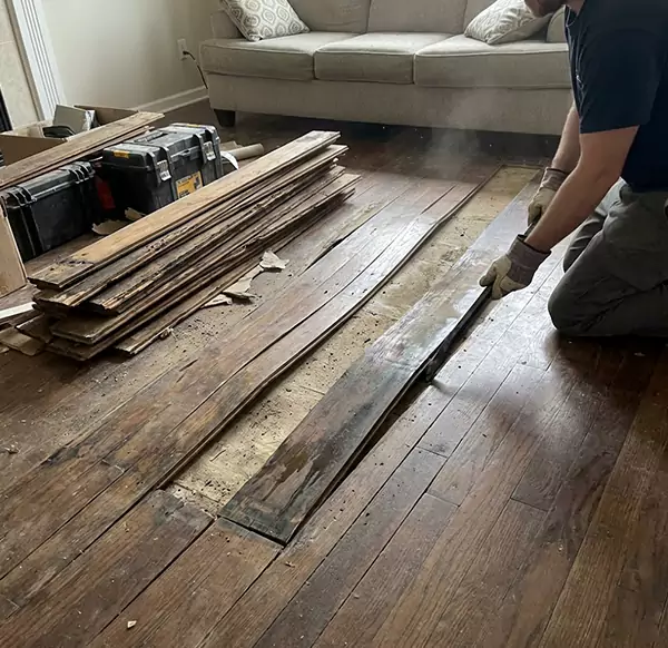 Why Choose Jupiter Water Restoration for Wood Floor Water Damage Repair in Jupiter, FL?