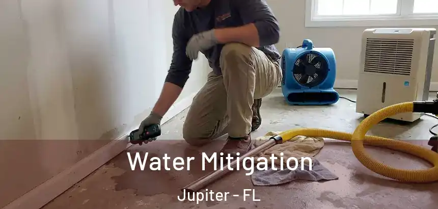  Water Mitigation Jupiter - FL